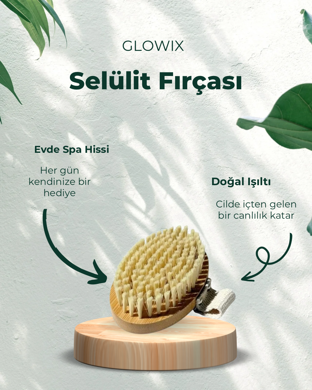Selülit Fırçası
